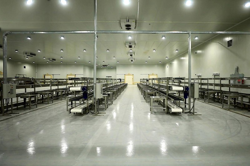 Packing & Cold Chain Facilities